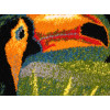 Kolibri 11435/183 r | carpet.ua 