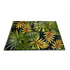 Kolibri 11510/810 | Carpet.ua