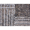 Kolibri 11561/BG92 | carpet.ua 