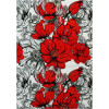 Kolibri 11564/120 | carpet.ua 