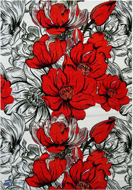 Kolibri 11564/120 | carpet.ua 