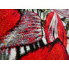 Kolibri 11564/120 | carpet.ua 