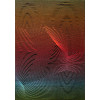 Kolibri 11566/824 | carpet.ua 