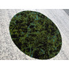 Kolibri 11568/139 | carpet.ua 