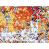Kolibri 11574/192 | carpet.ua 