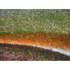 Kolibri 11581/BG65 | carpet.ua 