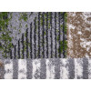 Kolibri 11583/BG92 | carpet.ua 