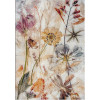 Kolibri 11596/126 | carpet.ua 