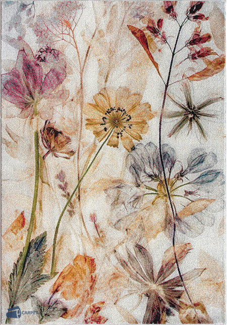 Kolibri 11596/126 | carpet.ua 