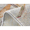 Kolibri 11596/126 | carpet.ua 