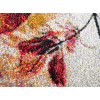 Kolibri 11596/126 | carpet.ua 