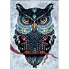 Kolibri 11603/180 | Carpet.ua