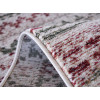 Lotos 15107/132 | carpet.ua 