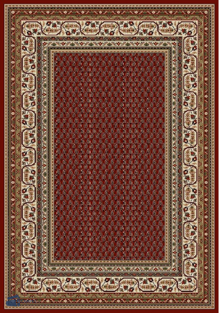 Lotos 1537/210 | carpet.ua 