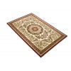Lotos 539/120 | carpet.ua 