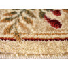 Lotos 551/100 r | Carpet.ua