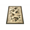 Lotos 566/130 | Carpet.ua