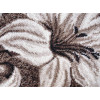 Luna 1831/12 o | carpet.ua 