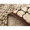Luna 1842/12 | Carpet.ua
