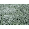 Mega 6004/30BF (runner) | carpet.ua 