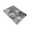 Mila 35201/169 | carpet.ua 