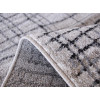 Mila 35209/169 | carpet.ua 