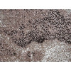 Mira 24049/120 | carpet.ua 