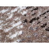 Mira 24052/120 | Carpet.ua