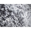 Mira 24058/160 | carpet.ua 