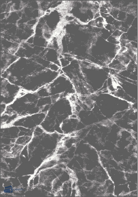 Mira 24128/196 | carpet.ua 