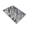 Mira 24140/196 | carpet.ua 