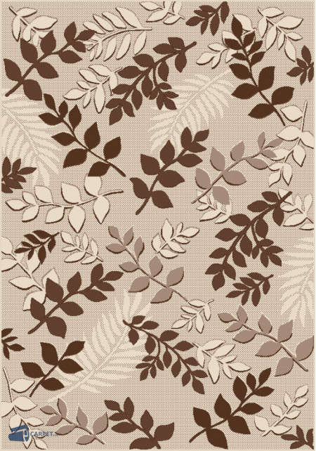 Naturalle 19267/19 | carpet.ua 