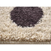 Nova 2206/89 | carpet.ua 