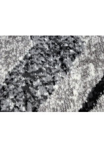 Optima linea/sample