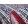 Osta Diamond 72~240/0~330 | carpet.ua 
