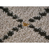 Royal Nomadic 9614/H916 | carpet.ua 