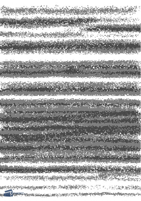 Shaggy DeLuxe 8009/18 | carpet.ua 
