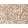 Sofia 41023/1002 | Carpet.ua