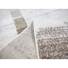 Softness 2814/G301 | carpet.ua 