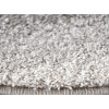 Softness 3726/G204 r | carpet.ua 