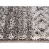 Softness 6904/G204 | carpet.ua 