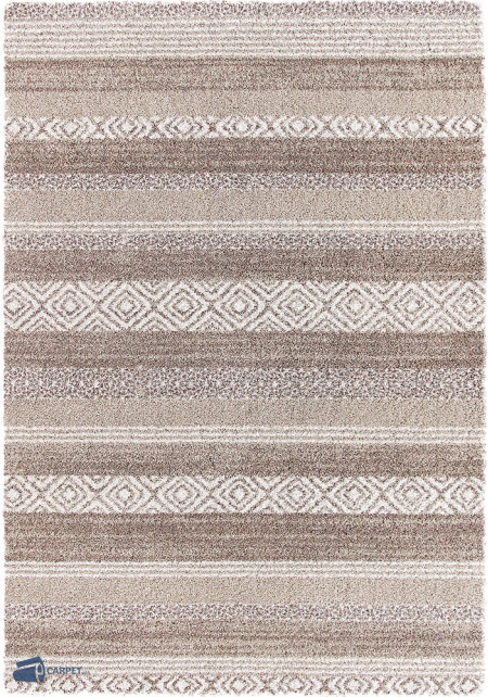Softness 6904/G305 | carpet.ua 
