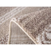 Softness 6904/G305 | carpet.ua 