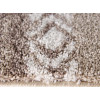 Softness 6904/G305 | carpet.ua 