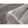 Softness 8517/S716 | carpet.ua 