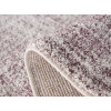 Softness 9986/T971 | carpet.ua 
