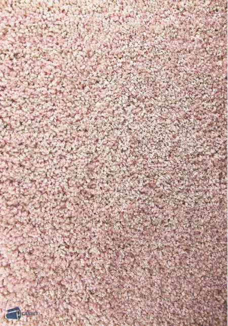 Solo 8800/255 | Carpet.ua