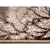 Sonata 22006/110 | Carpet.ua