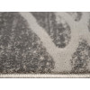 Sonata 22033/610 | Carpet.ua