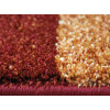 Wellness 2814/8103 | carpet.ua 